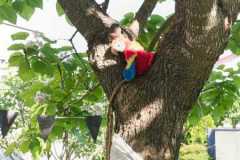 IMG-20260622-WA0034