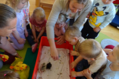 Besuch-von-den-Kueken-1