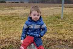 Der-Fruehling-kommt-1