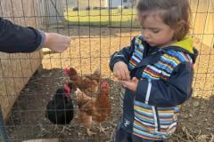 Der-Fruehling-kommt-5