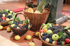 IMG-20261008-WA0004