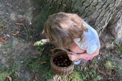 IMG-20260920-WA0000
