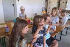 IMG-20250627-WA0009