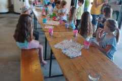 IMG-20250629-WA0003