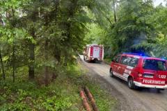 IMG-20250602-WA0011