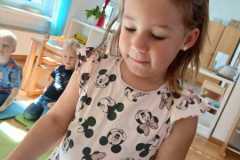 IMG-20250917-WA0008