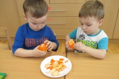 IMG-20200322-WA0083
