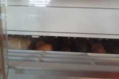 IMG-20250423-WA0000