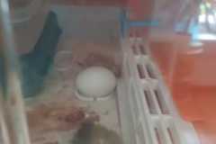 IMG-20250424-WA0005