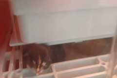 IMG-20250424-WA0020