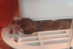 IMG-20250424-WA0021