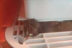 IMG-20250424-WA0022
