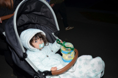 Laternenfest-11.11-13