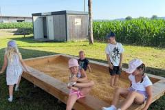 IMG-20260629-WA0011