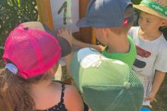 IMG-20260629-WA0014