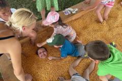 IMG-20260629-WA0024