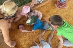 IMG-20260629-WA0028
