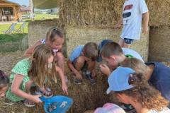 IMG-20260629-WA0049