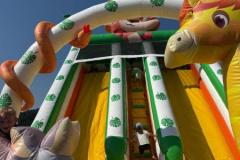 IMG-20260629-WA0051