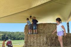 IMG-20260629-WA0053