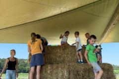 IMG-20260629-WA0055