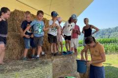 IMG-20260629-WA0056