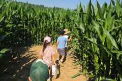 IMG-20260629-WA0067