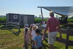 IMG-20260629-WA0068