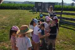 IMG-20260629-WA0070