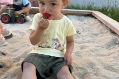 Erdbeeren-14