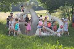 IMG-20250608-WA0027