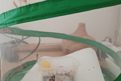 20260608_060543