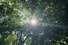 Sommer-in-der-Krippe-14