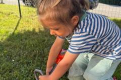 Sommer-in-der-Krippe-2