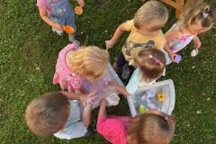 Sommer-in-der-Krippe-33