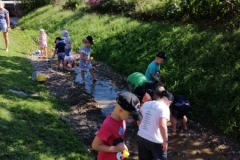 IMG-20200824-WA0019