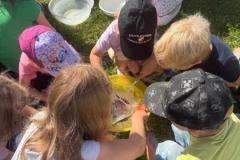 IMG-20250731-WA0020