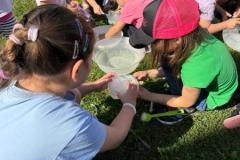 IMG-20250731-WA0025