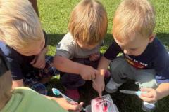 IMG-20250731-WA0033