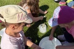 IMG-20250731-WA0035