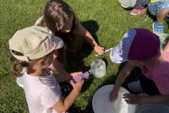 IMG-20250731-WA0037