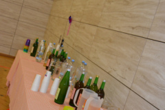 Sommerfest-2026-13
