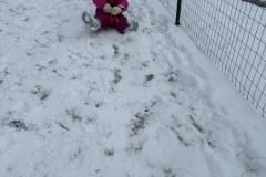 WhatsApp-Image-2026-01-08-at-06.58.49-18