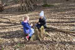 IMG-20250312-WA0035
