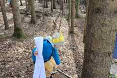 IMG-20250312-WA0038