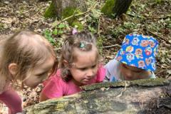 IMG-20250609-WA0011
