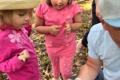 IMG-20250609-WA0012